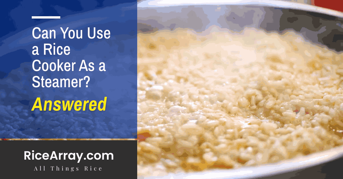 Can You Use a Rice Cooker As a Steamer?