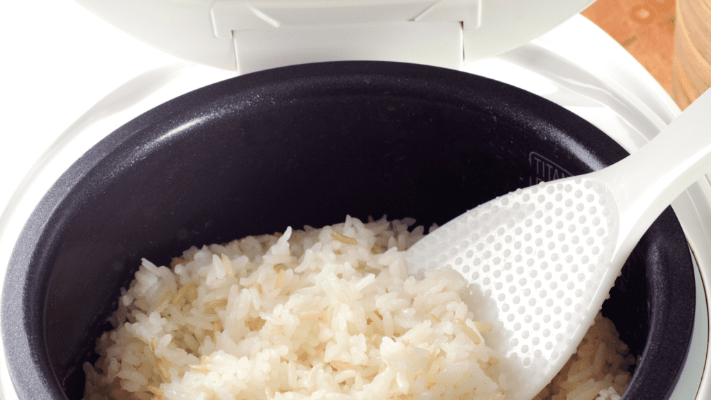 How Does a Basic Rice Cooker Work?￼