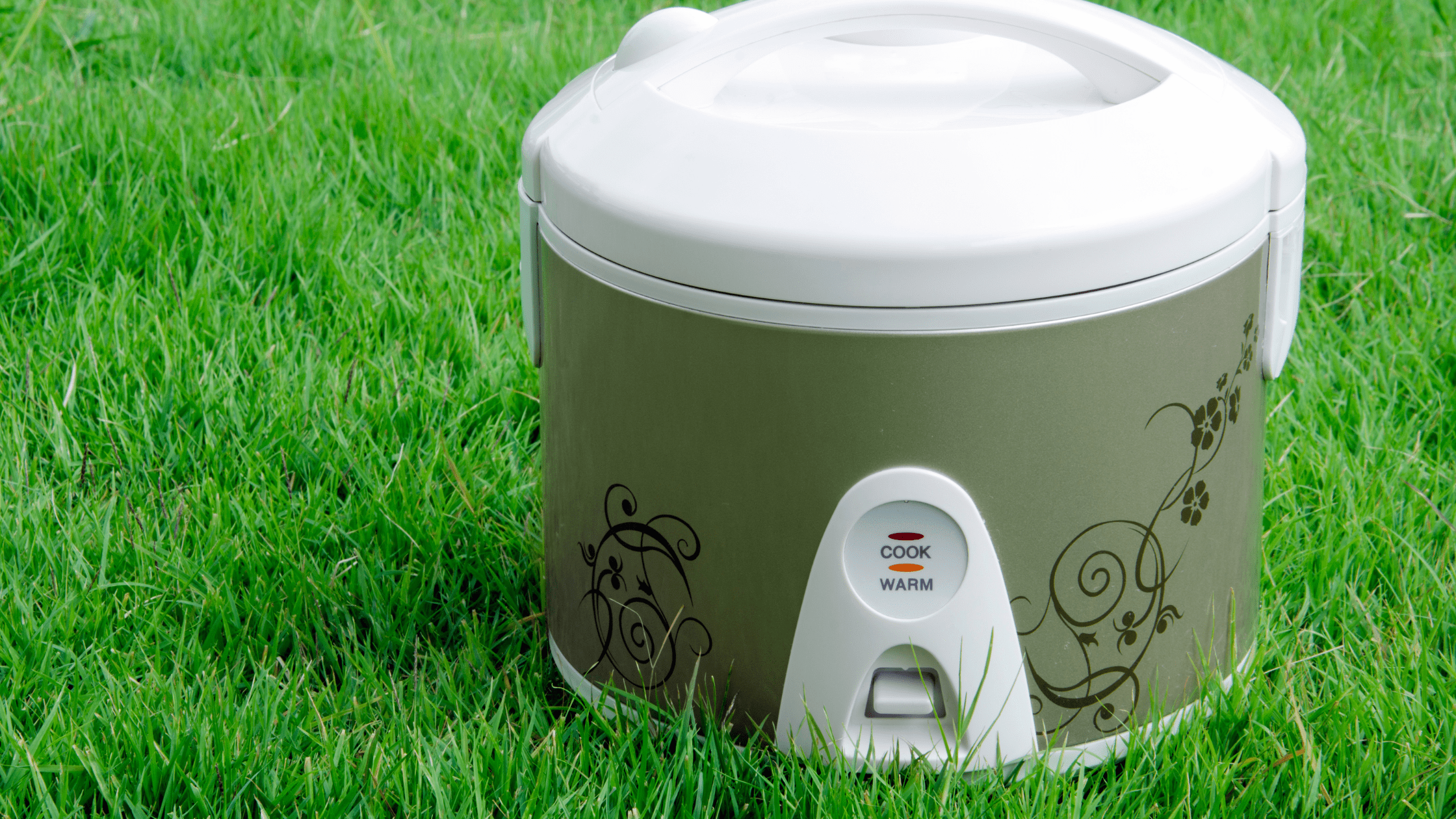 How Long Should My Rice Cooker Last? – Rice Array