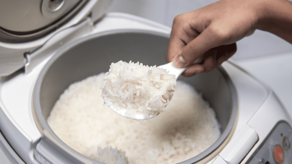 How to Fix a Rice Cooker Spring: Tips and Tricks￼