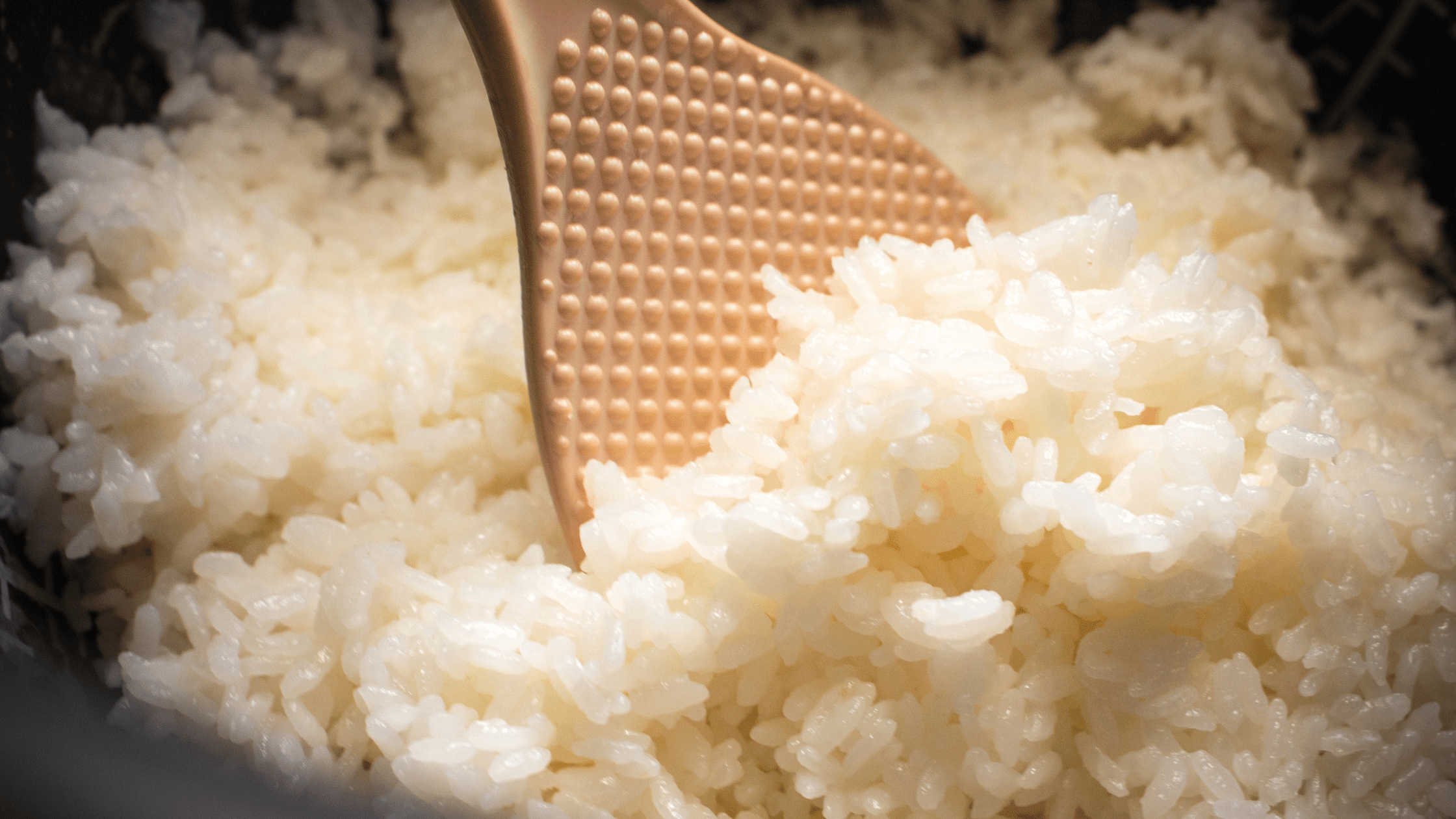 How to Make Rice Cooker Not Stick: Tips and Tricks￼ – Rice Array
