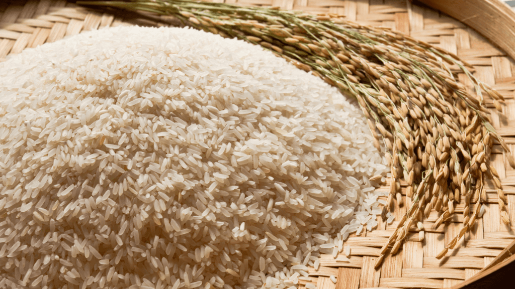 The Best Times to Cook Rice in a Rice Cooker: A Comprehensive Guide￼