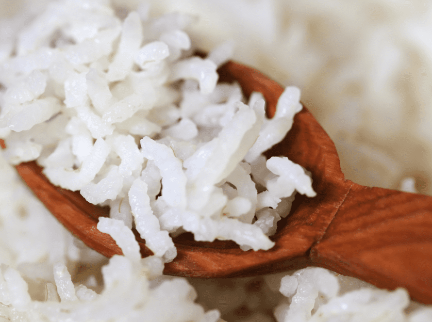 The Aroma Rice Cooker Guide How to Use, Clean, and Store