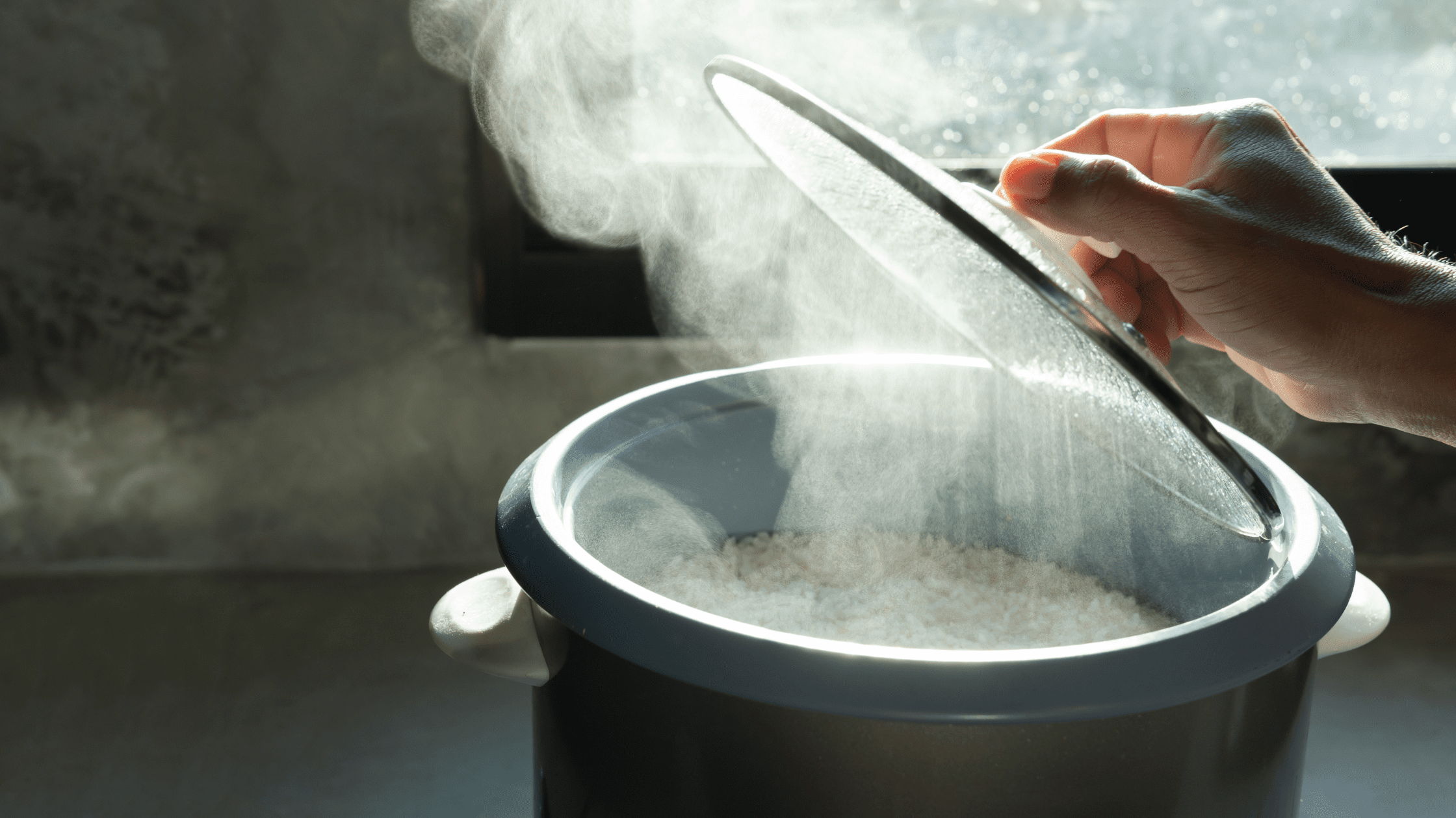How to Keep Your Rice Cooker Warm Tips and Tricks Rice Array