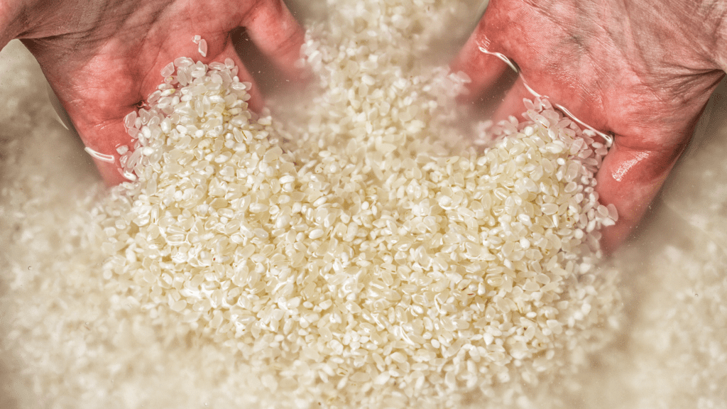 How to Know How Much Water to Put in Rice Cooker Rice Array