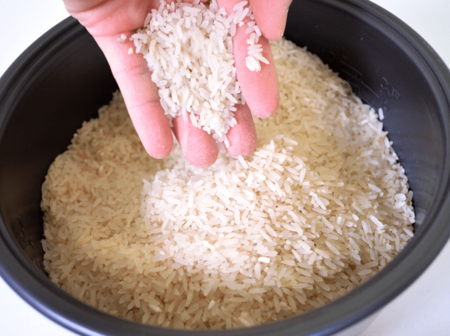 How to Use the Salton Rice Cooker - Rice Array