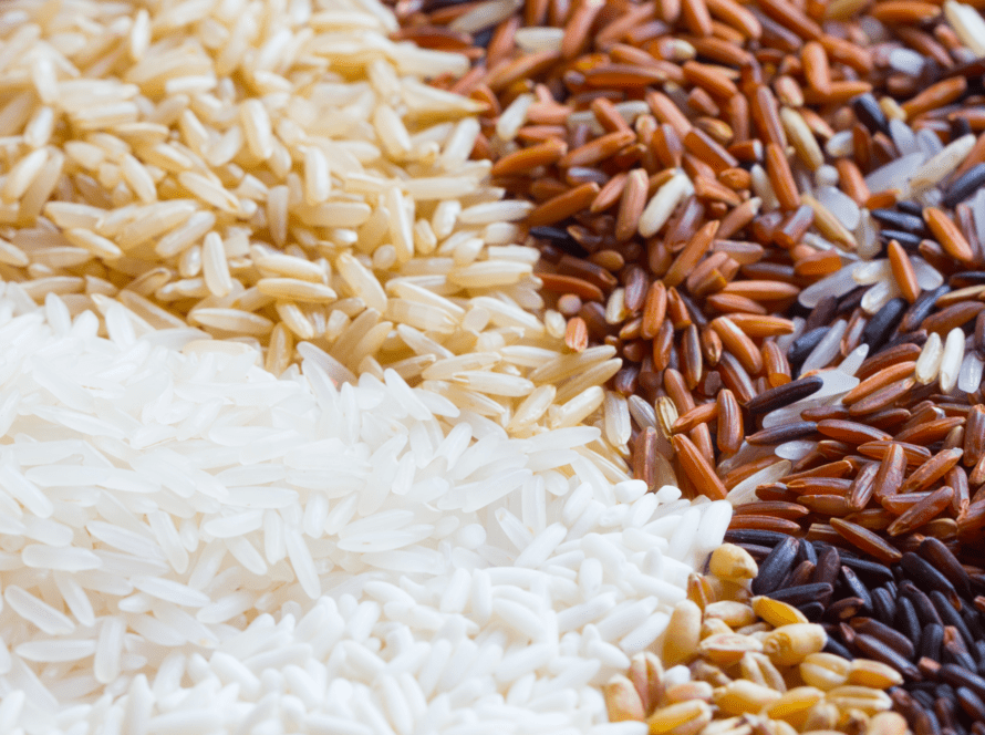 The Perfect RicetoWater Ratio for Fluffy, Delicious Rice Every Time