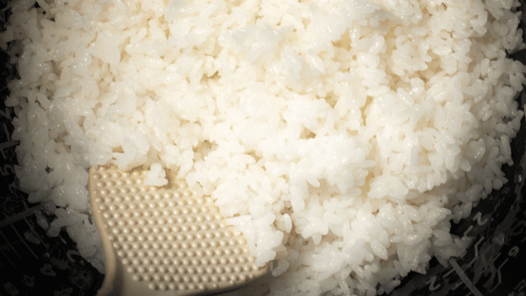 Tatung Rice Cooker: The Ultimate Guide – Rice Array