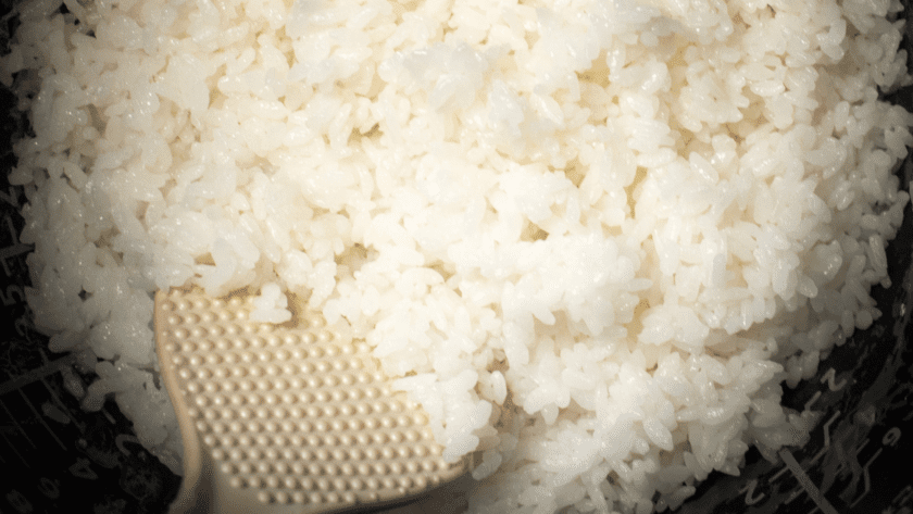 Tatung Rice Cooker: The Ultimate Guide