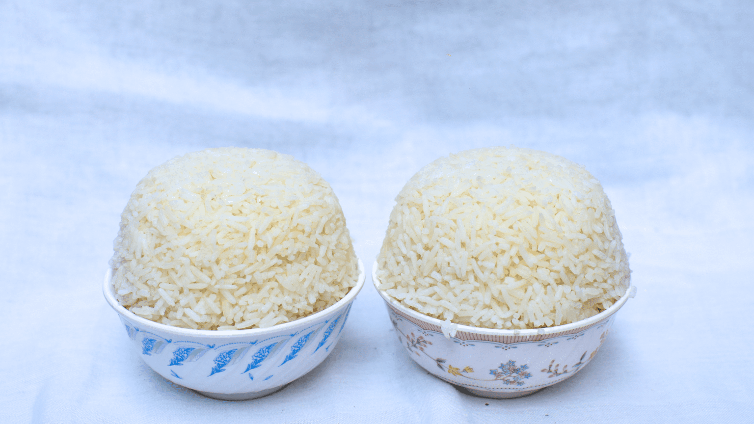 The Wonders of the Mini Rice Cooker Rice Array