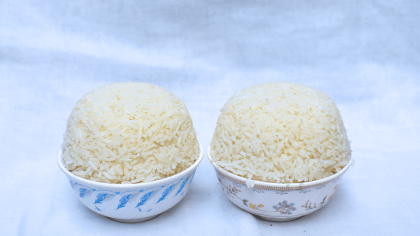 The Wonders of the Mini Rice Cooker