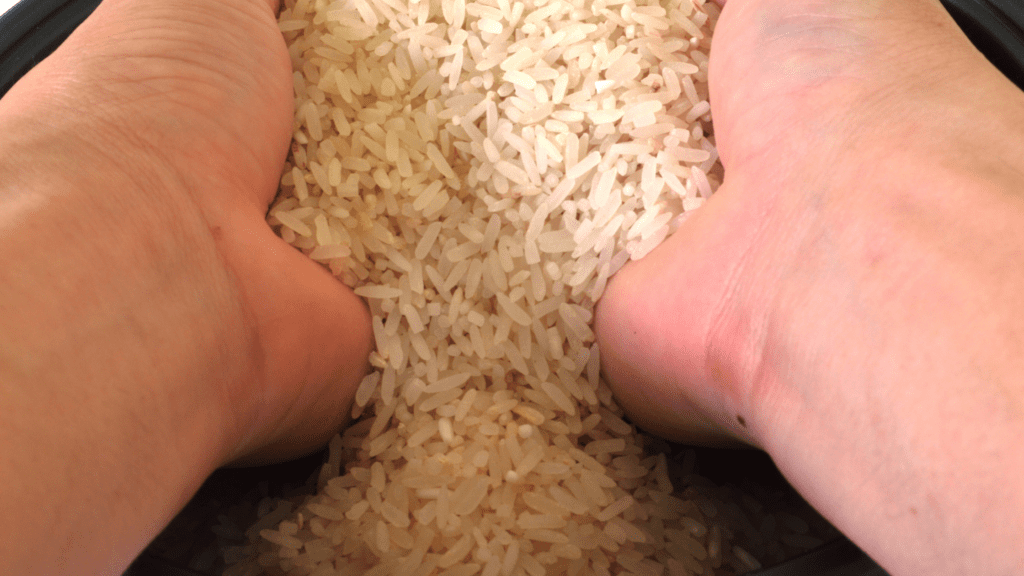 How to Use a Rice Cooker The Prestige Model Rice Array