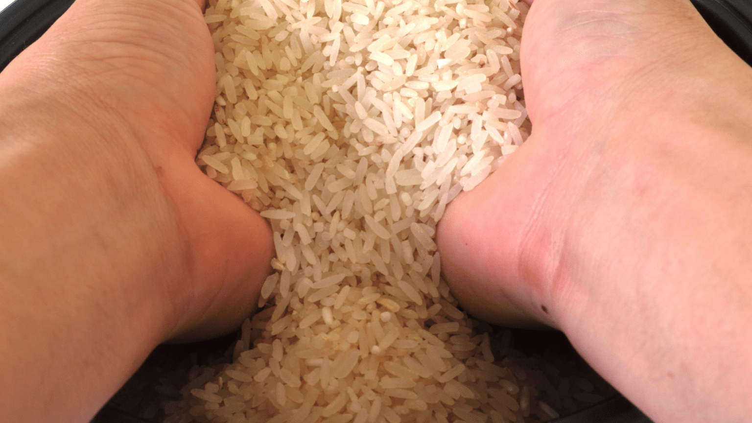 How to Use a Rice Cooker The Prestige Model Rice Array