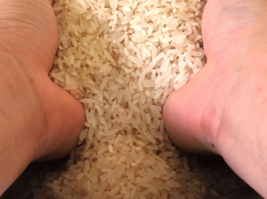 How to Stop Your Rice Cooker from Burning Helpful Tips Rice Array