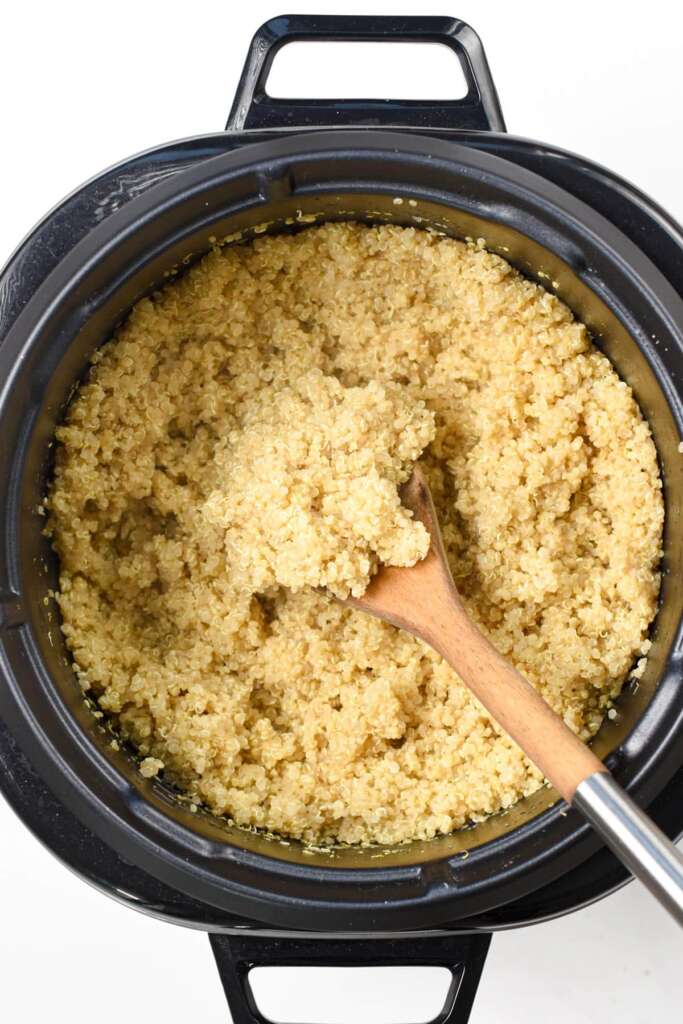 5 Delicious Quinoa Recipes You Can Make in Your Rice Cooker – Rice Array