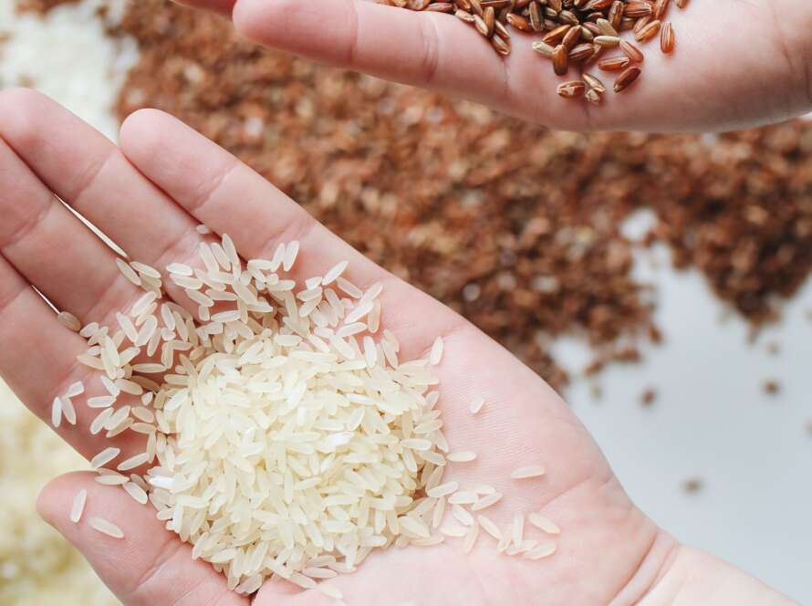 Should You Rinse Rice Off After Cooking? Rice Array