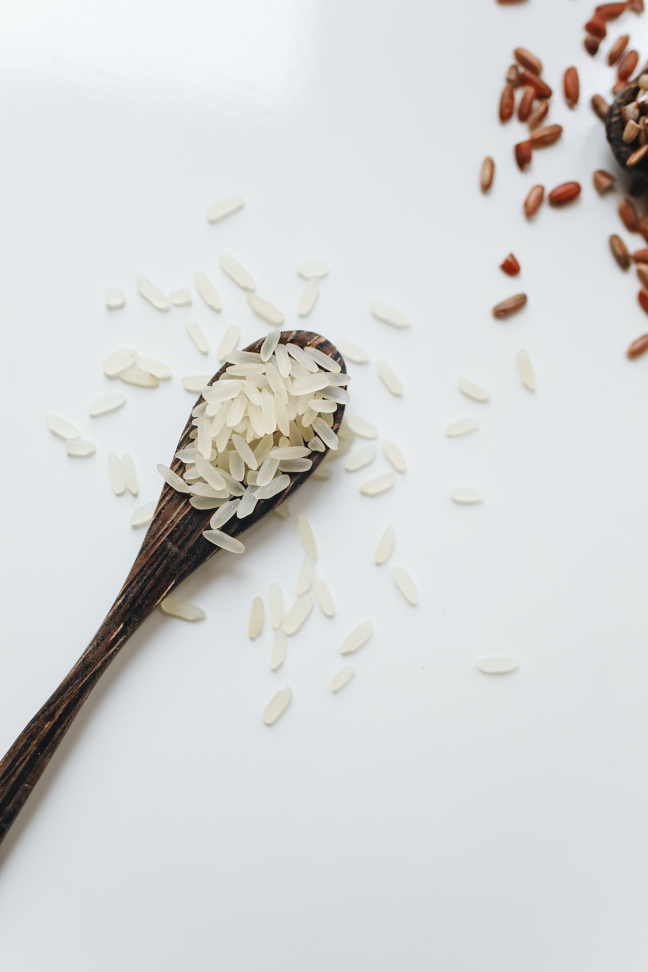 Rice: The Grain of Life