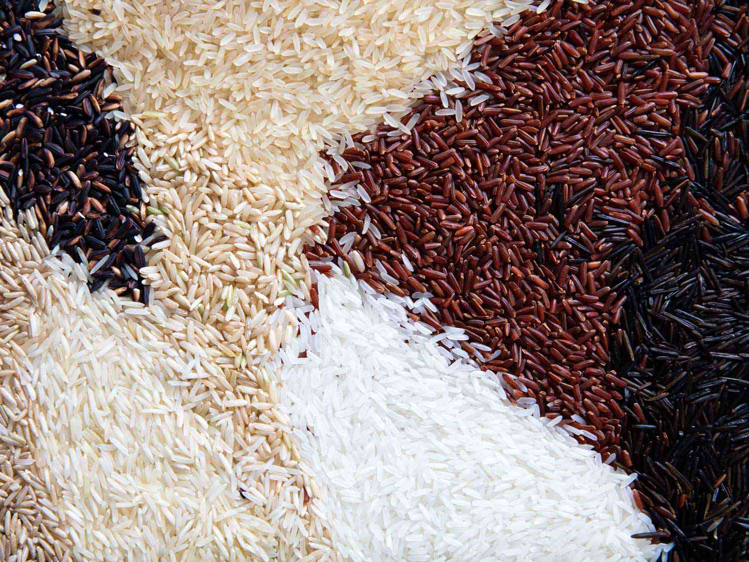 What Are the Different Types Of Short Grain Rice?